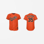 Youth Baltimore Orioles Adley Rutschman Cool Base Replica Alternate Jersey - Orange